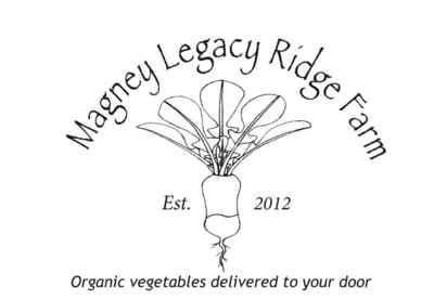 Magney_logo_02